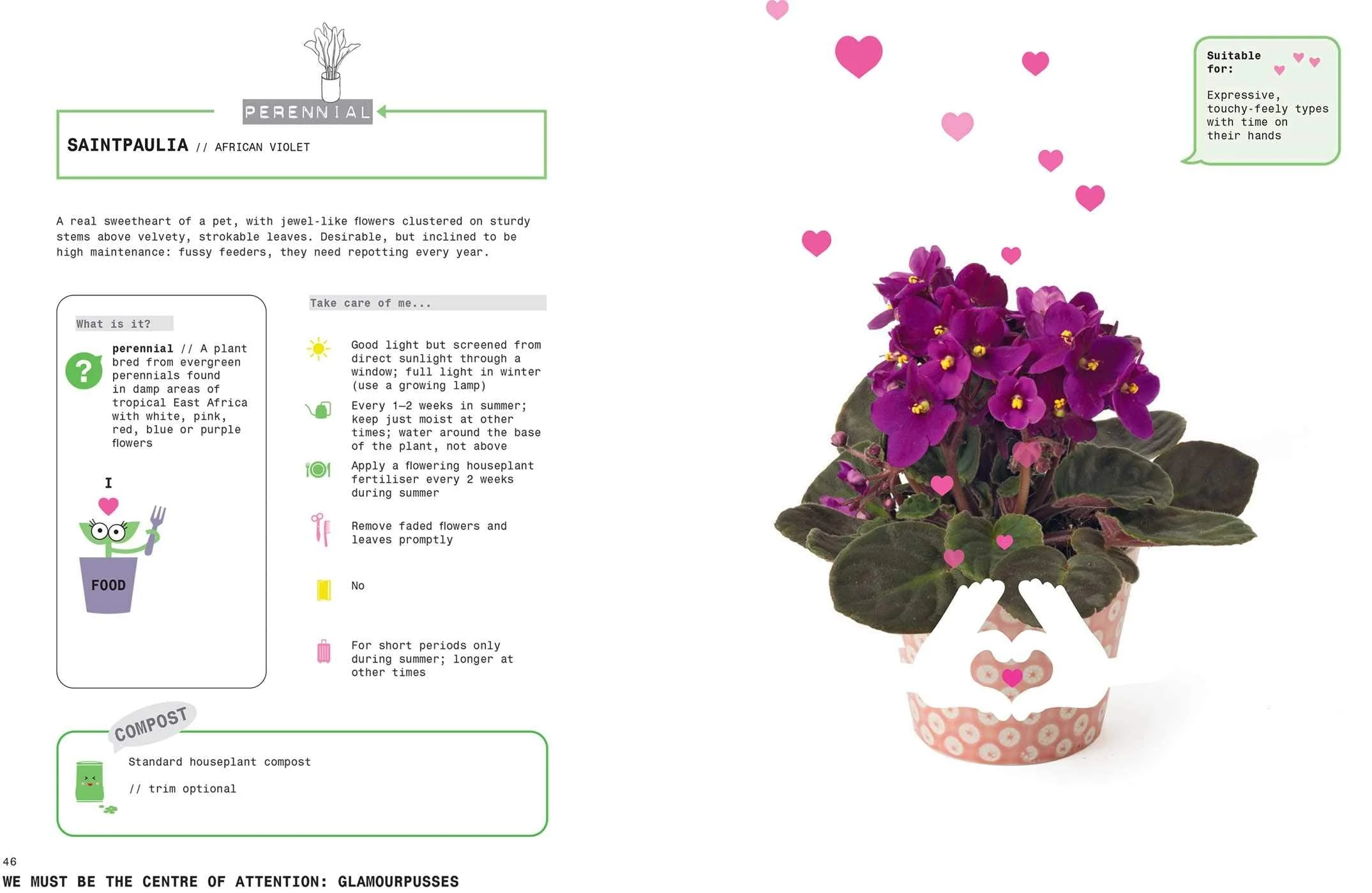 Grow Your Own Pet Plants - Image 4