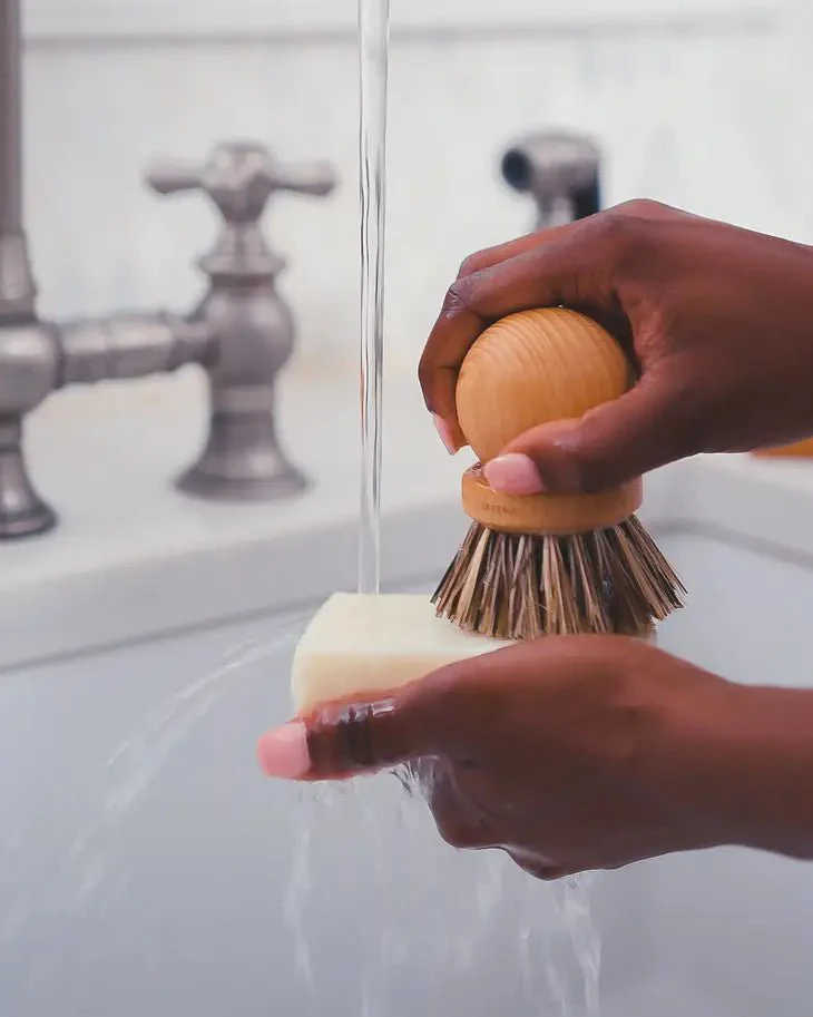 Dishbar: Fragrance-Free - Image 3