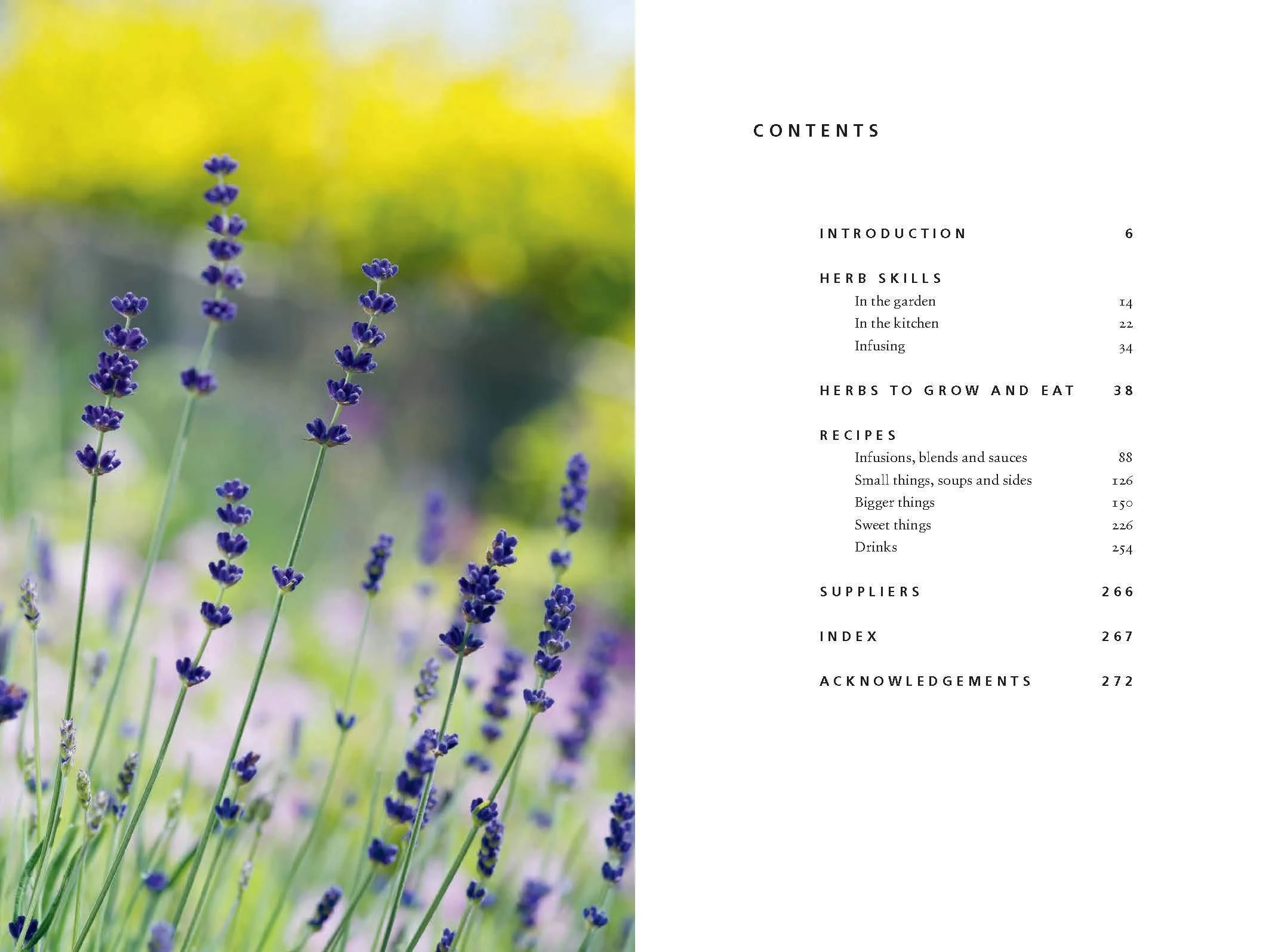 Herb: A Cooks Companion - Image 2