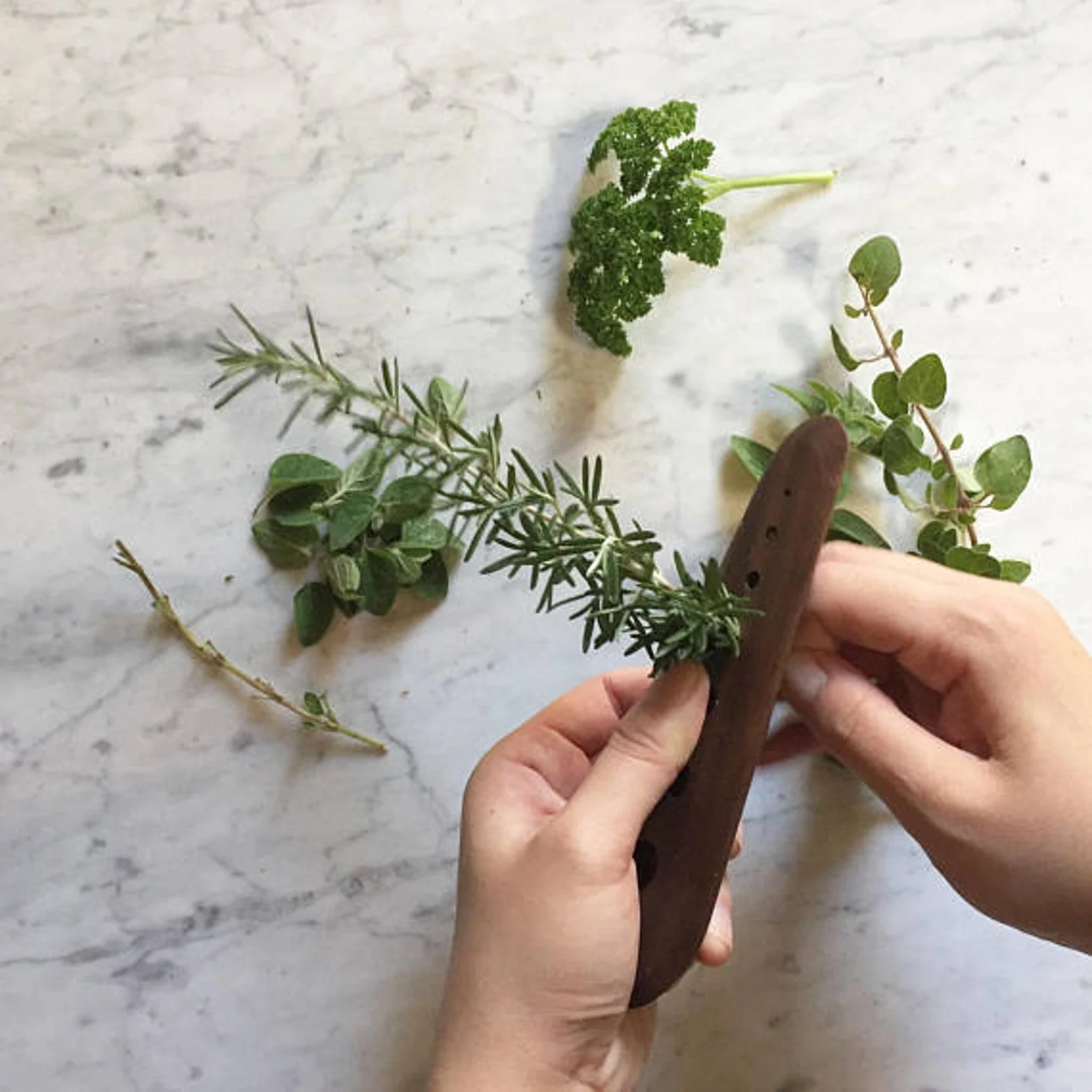 Herb Stripper - Image 5