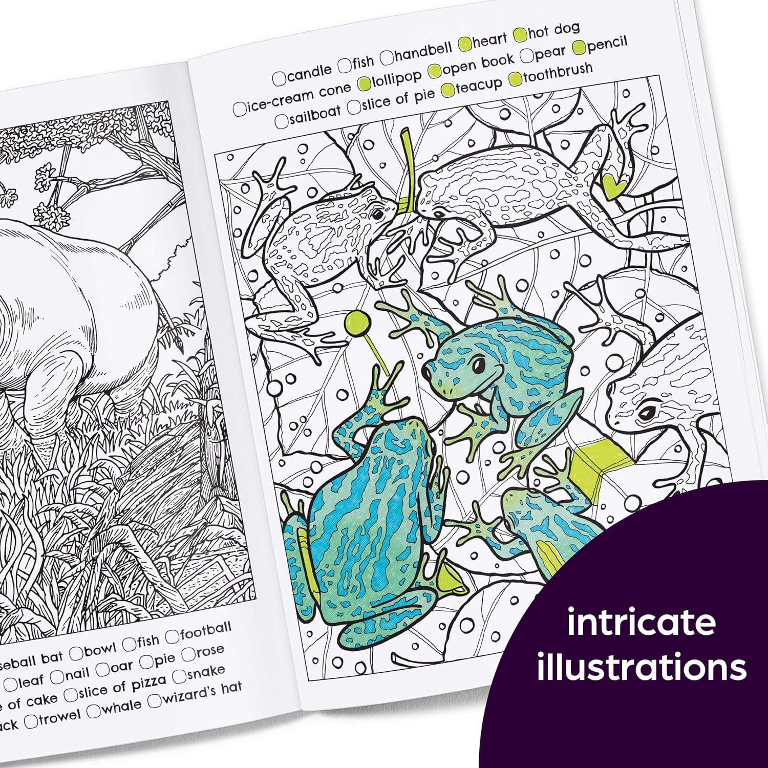 Hidden in Nature: A Cozy Hidden Pictures Coloring Book - Image 6