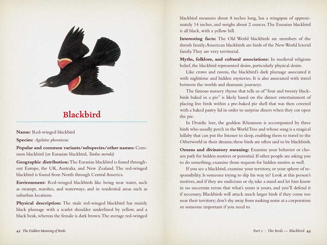 Hidden Meaning of Birds: A Spiritual Field Guide - Image 2