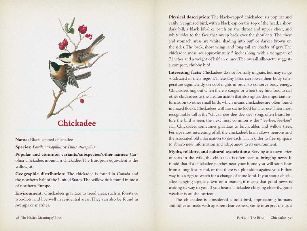 Hidden Meaning of Birds: A Spiritual Field Guide - Image 3