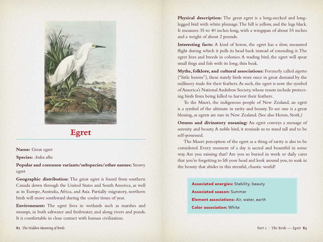 Hidden Meaning of Birds: A Spiritual Field Guide - Image 4