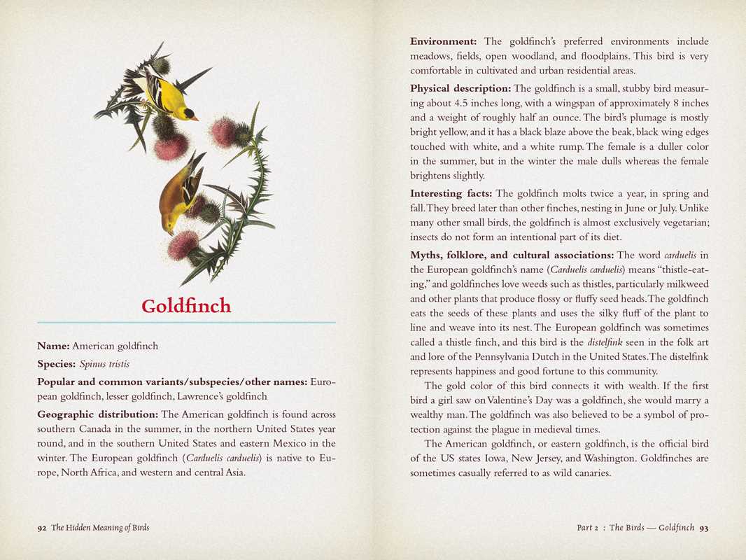 Hidden Meaning of Birds: A Spiritual Field Guide - Image 5