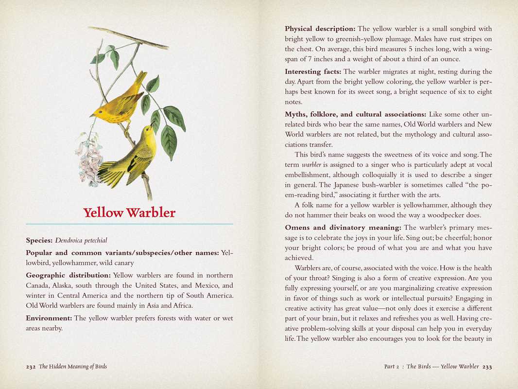 Hidden Meaning of Birds: A Spiritual Field Guide - Image 6