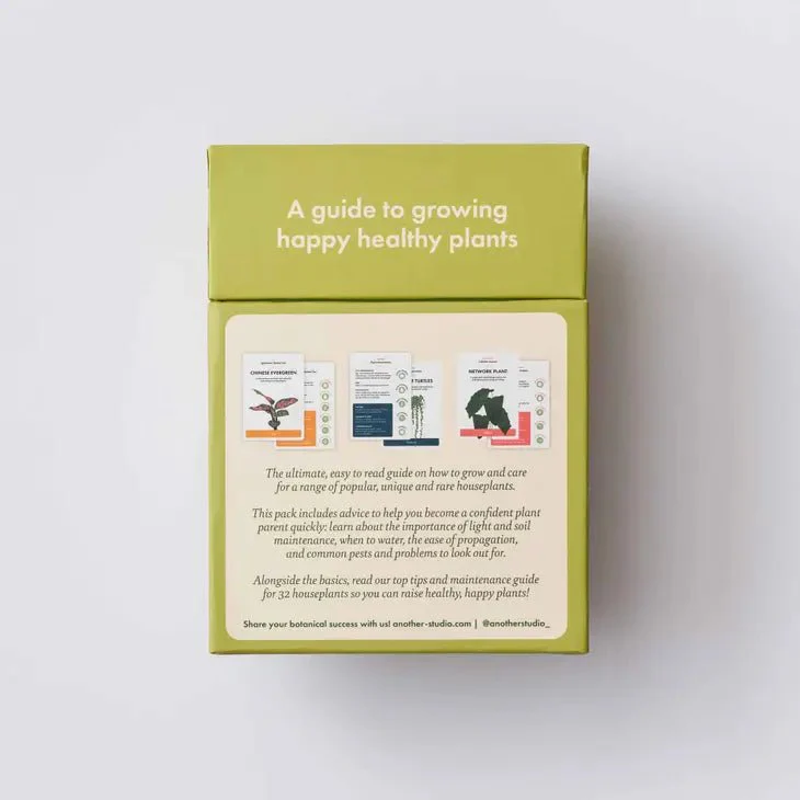 Houseplant Care Cards: Edition 2 - Image 2
