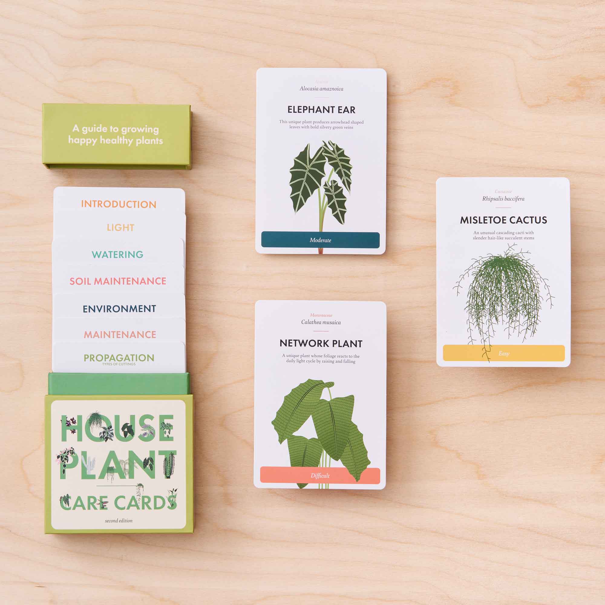 Houseplant Care Cards: Edition 2 - Image 3