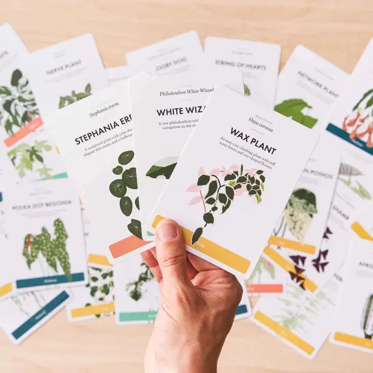 Houseplant Care Cards: Edition 2 - Image 4