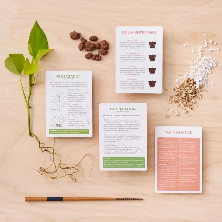 Houseplant Care Cards: Edition 2 - Image 5