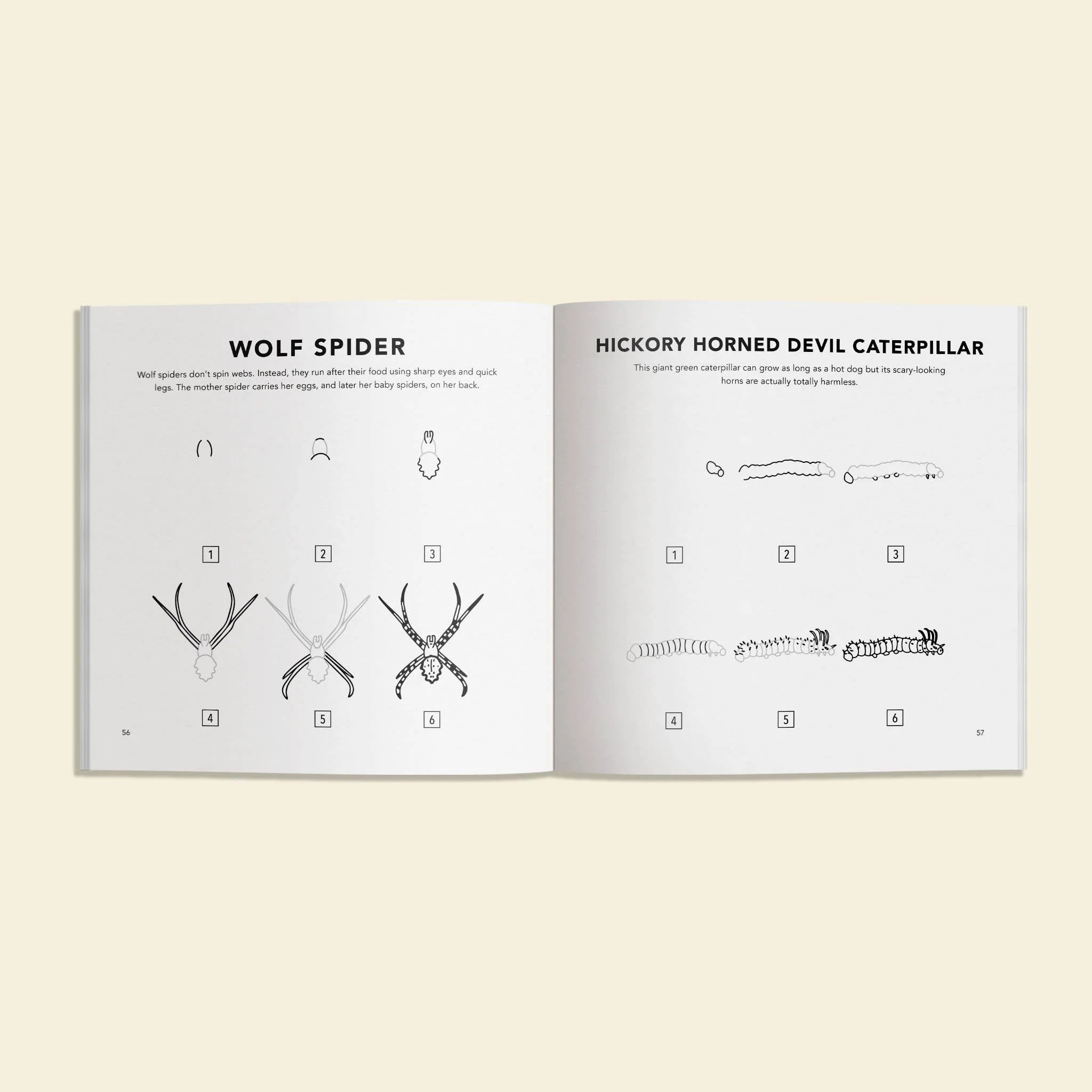 How to Draw Books for Kids: Bugs - Image 3