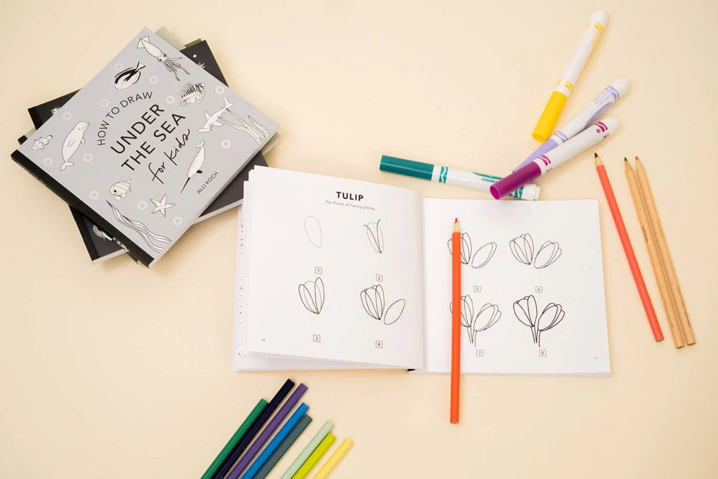 How to Draw So Many Things: A Mini Box Set of 5 - Image 4