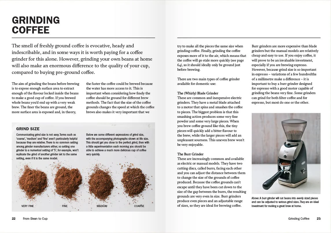 How to Make the Best Coffee at Home - Image 3
