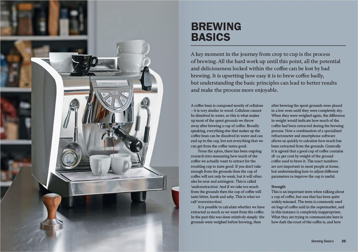 How to Make the Best Coffee at Home - Image 4