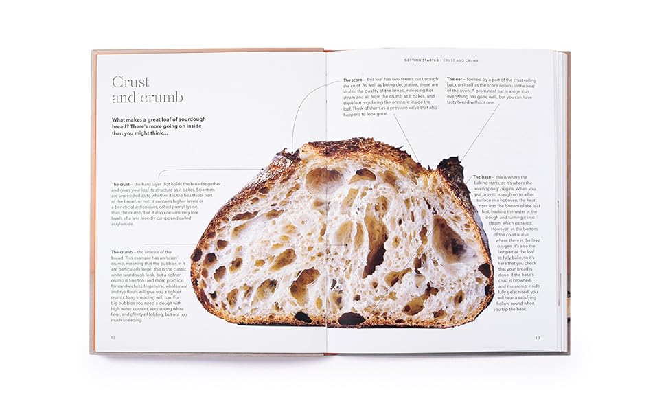 How to Raise a Loaf and Fall in Love with Sourdough - Image 2