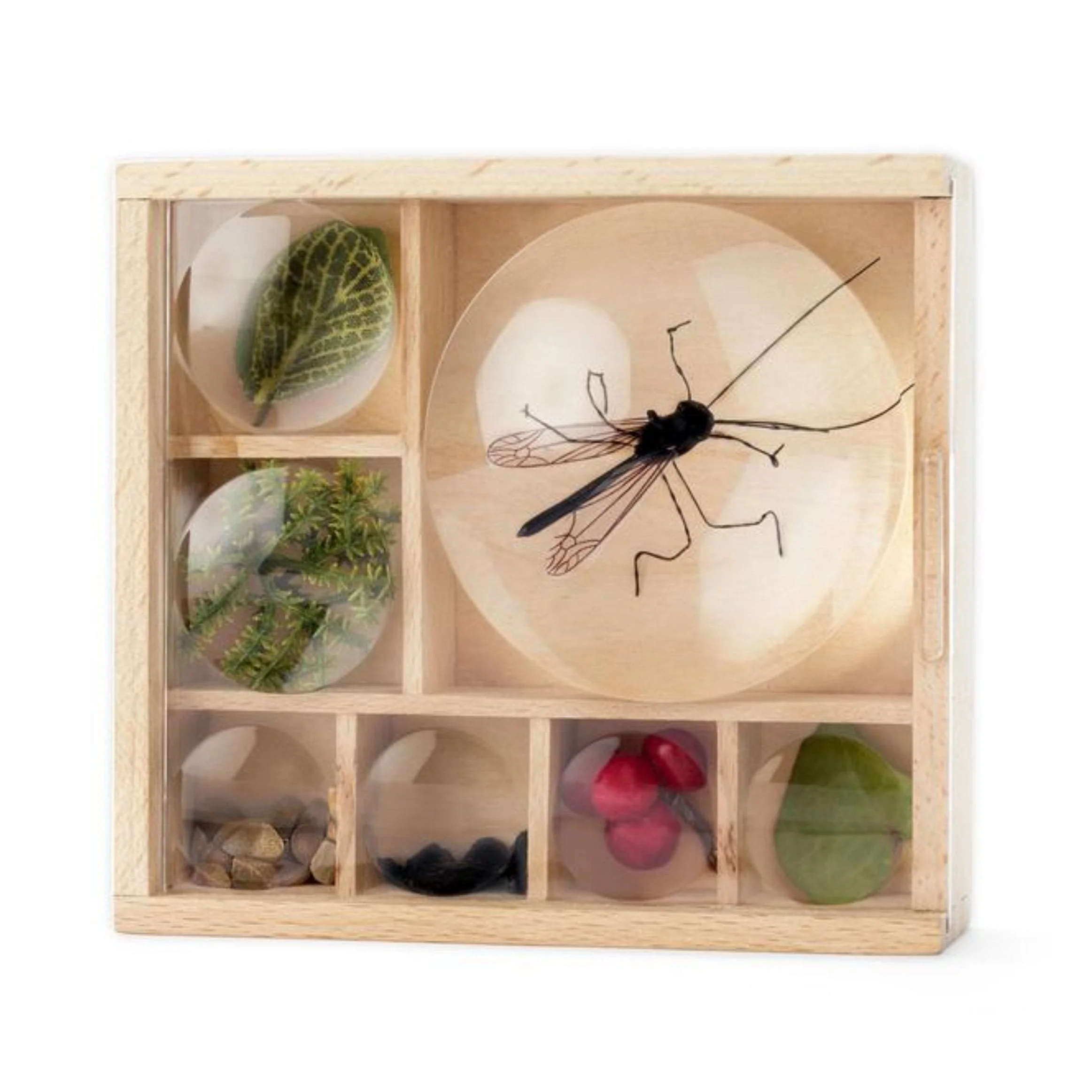 My Little Museum Box - Image 2