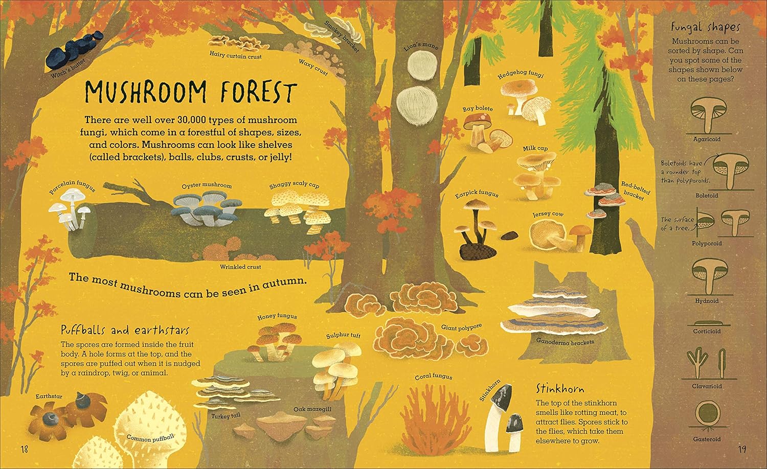 Humongous Fungus - Image 5