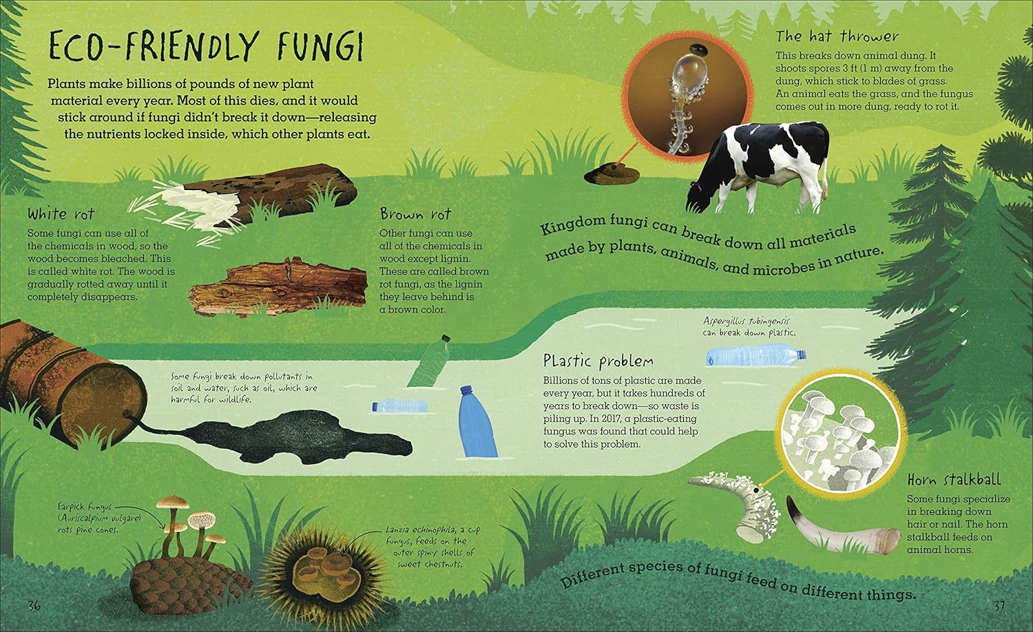 Humongous Fungus - Image 6