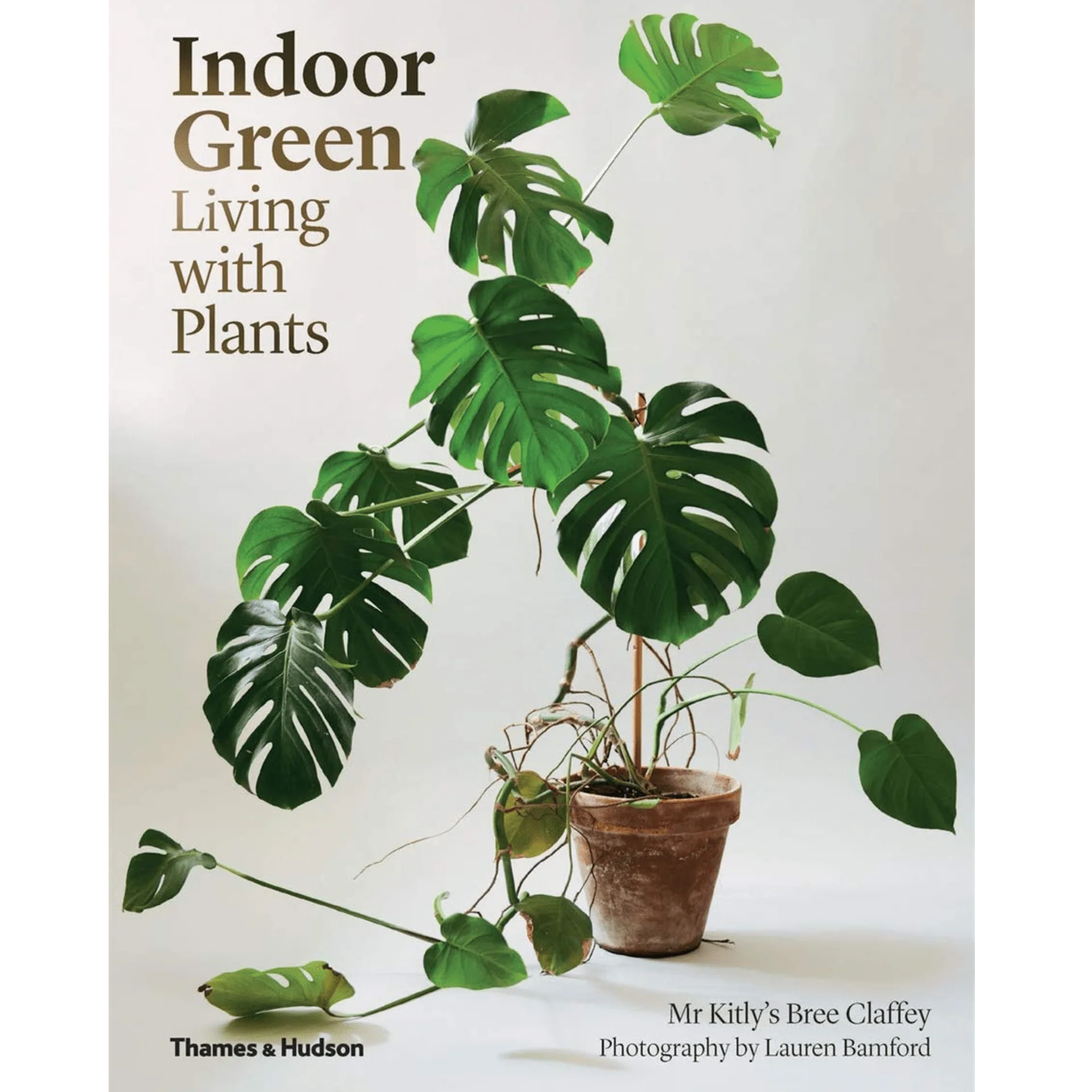 Indoor Green: Living With Plants