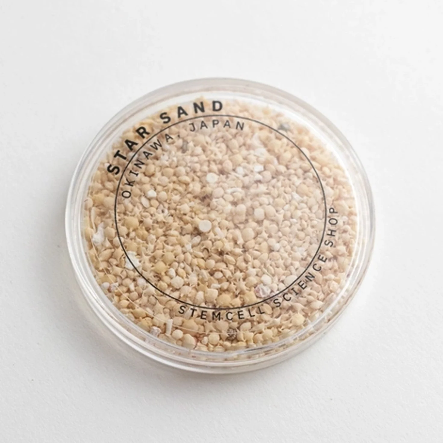 Japanese Star Sand - Image 5