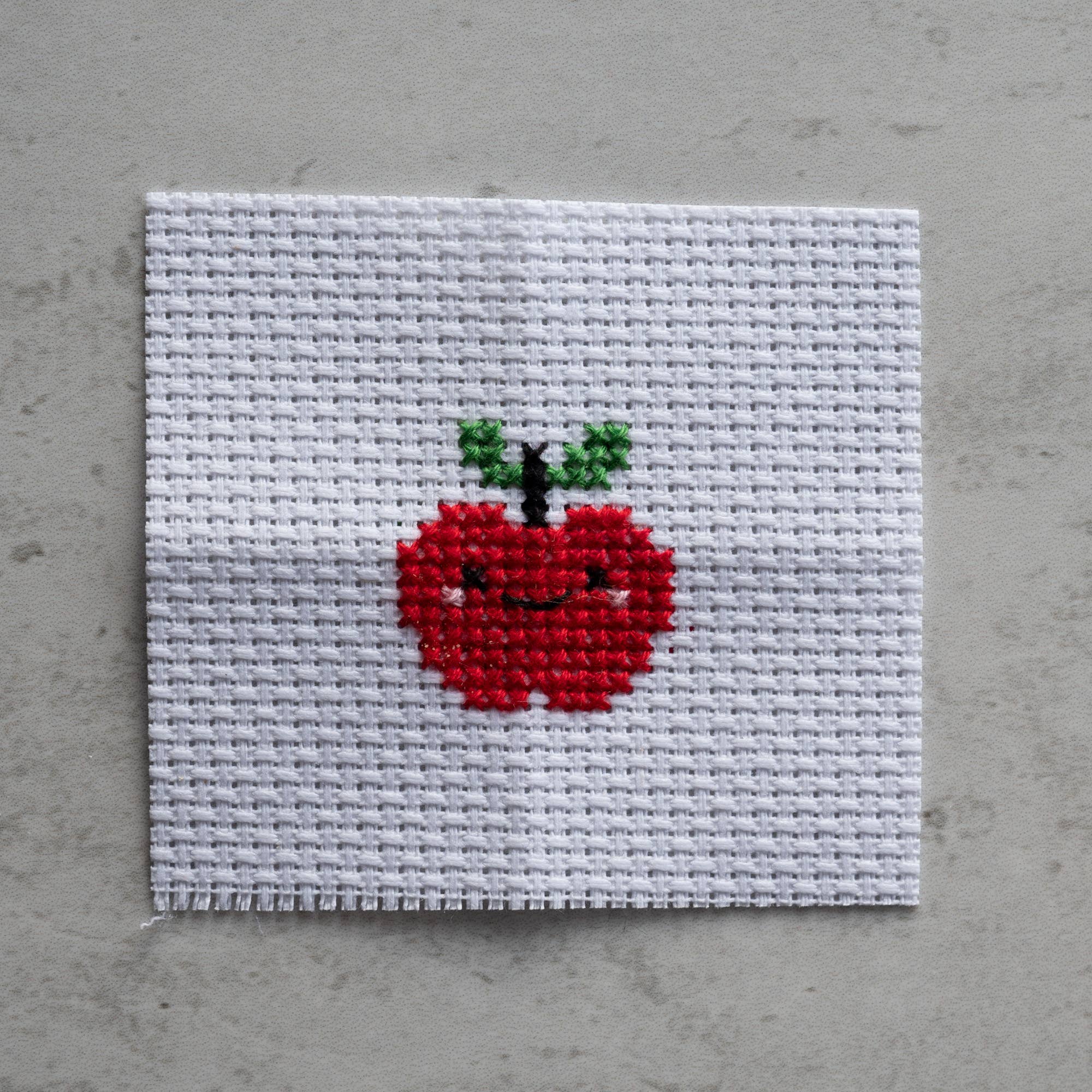 Mini Apple Cross Stitch Kit - Image 7