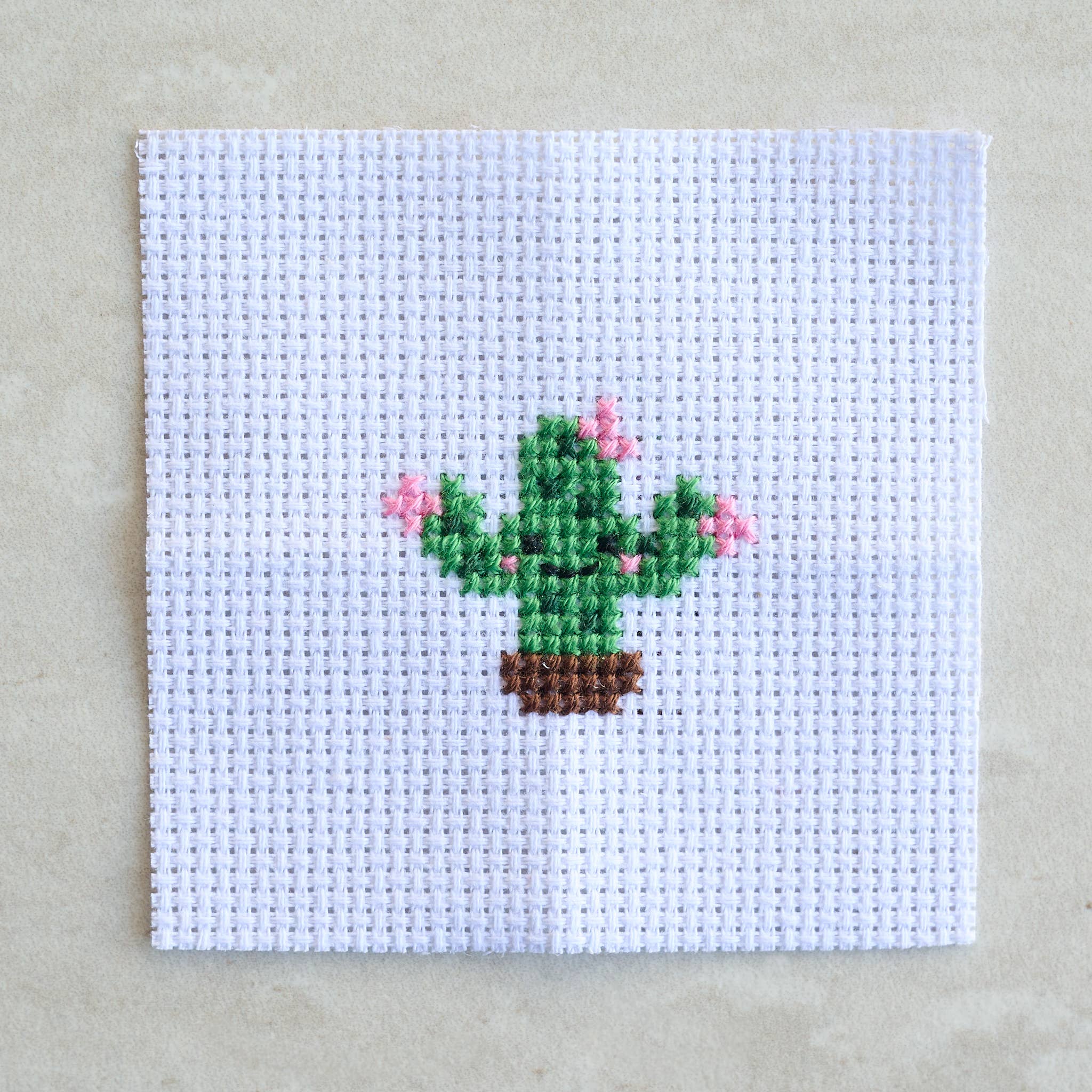 Mini Cactus Cross Stitch Kit - Image 4