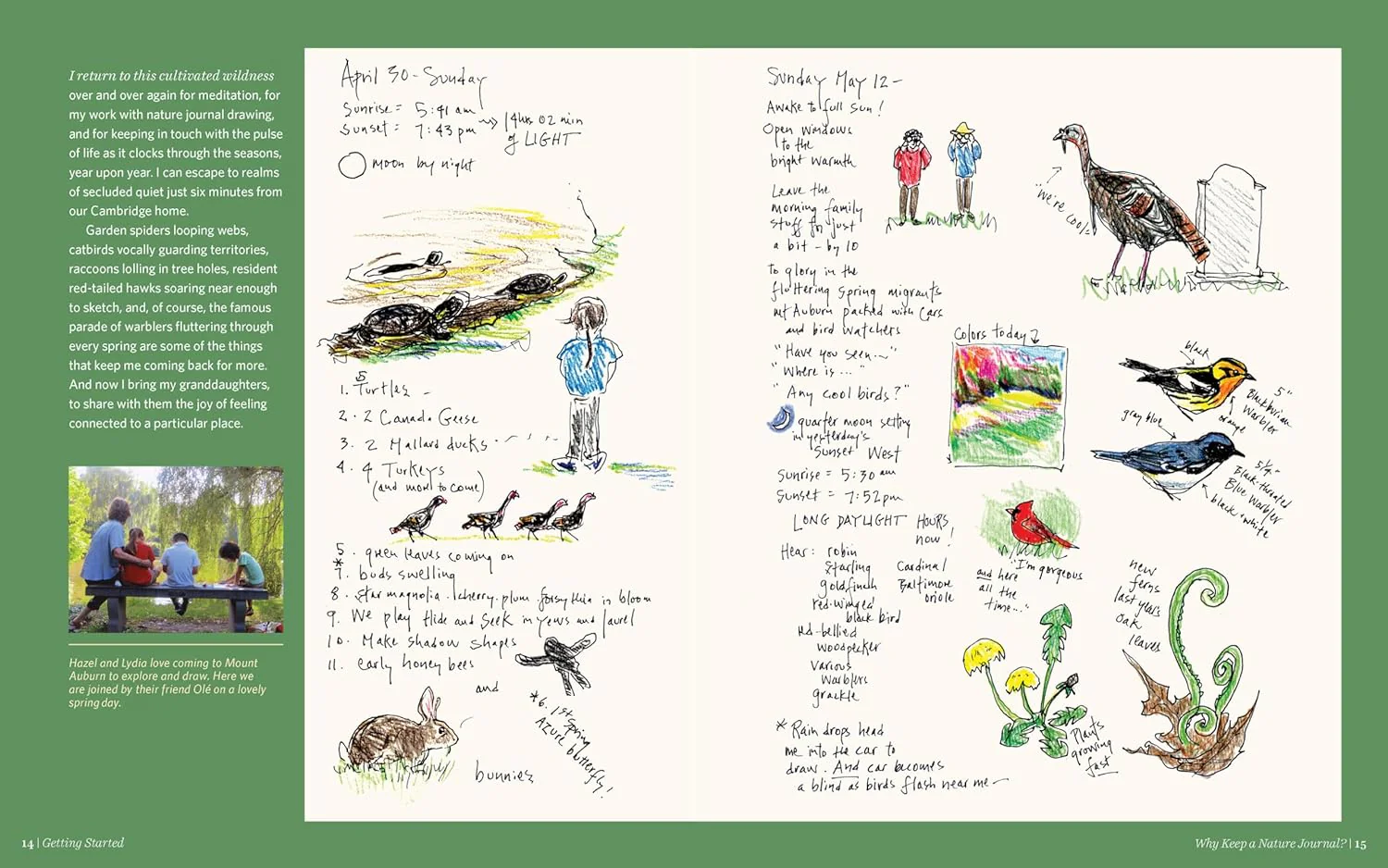 Keeping a Nature Journal - Image 4
