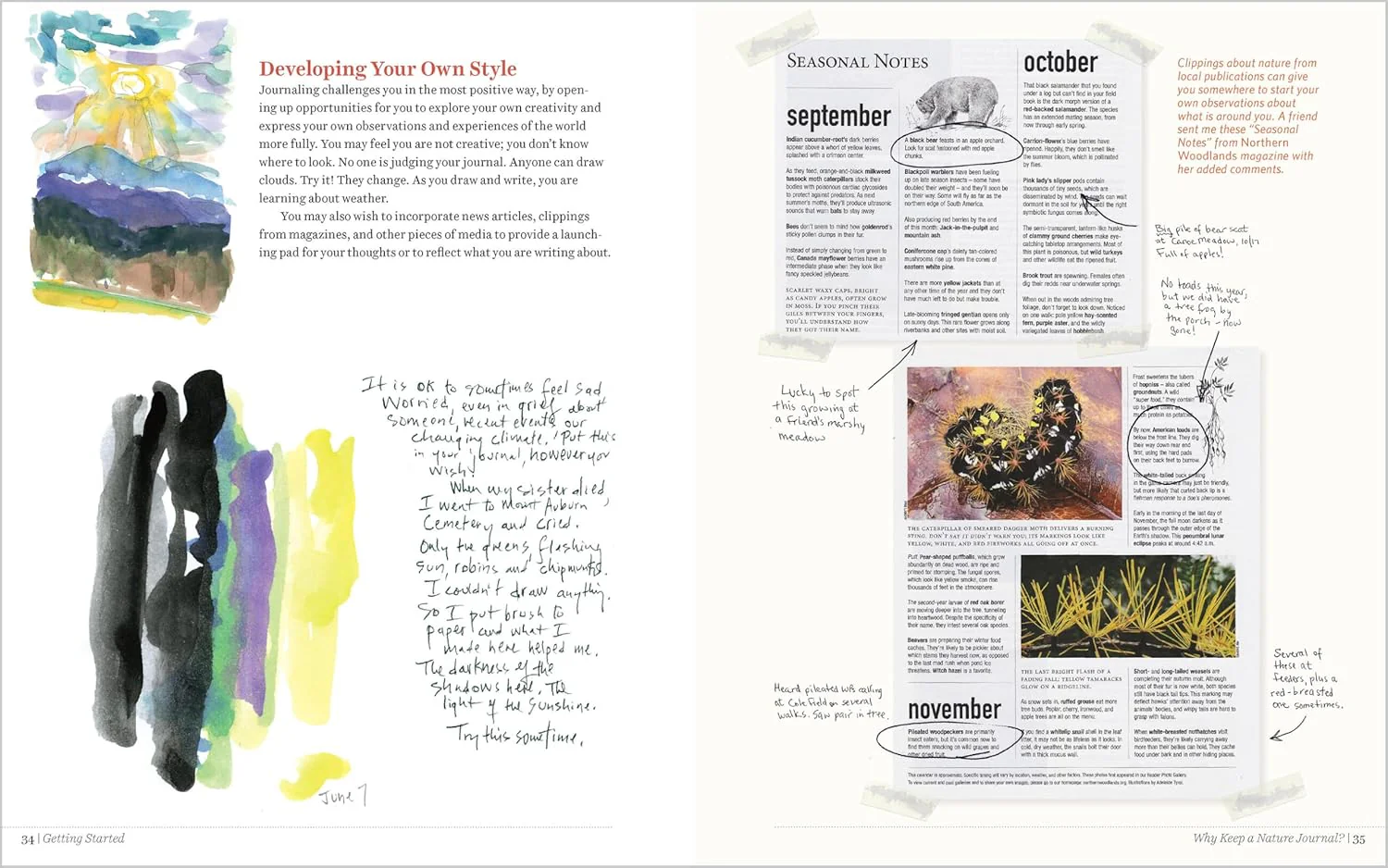 Keeping a Nature Journal - Image 5