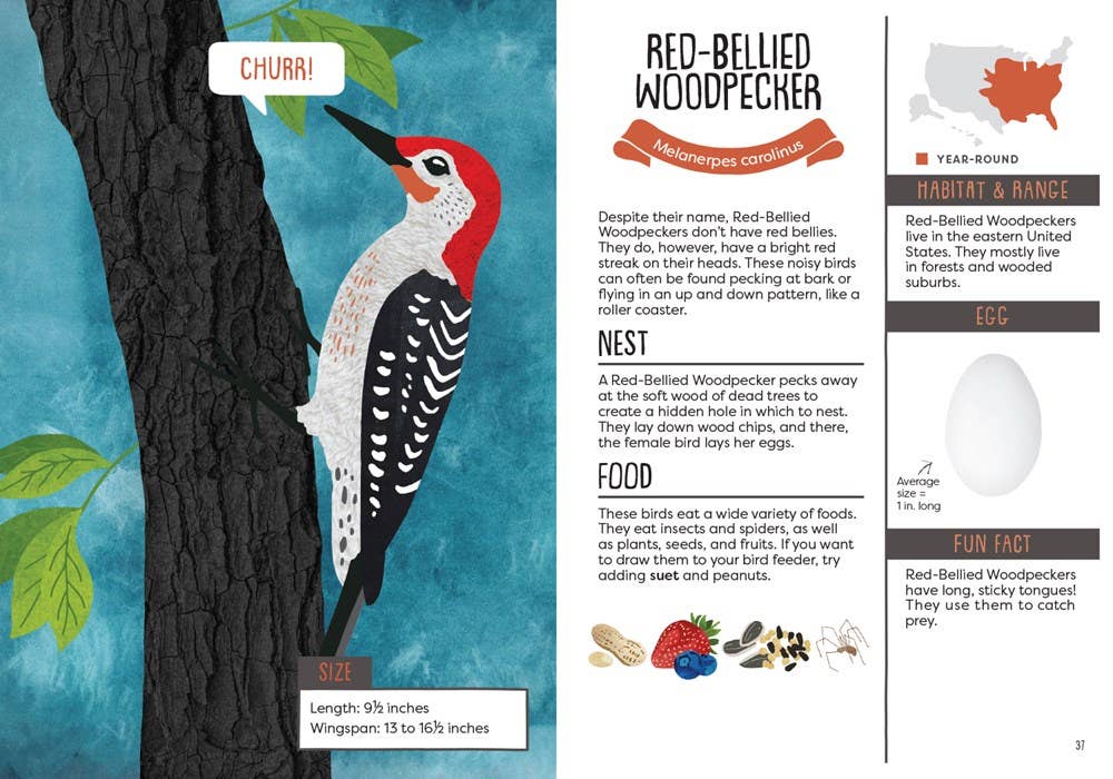 Kid’s Guide to Backyard Birds - Image 2