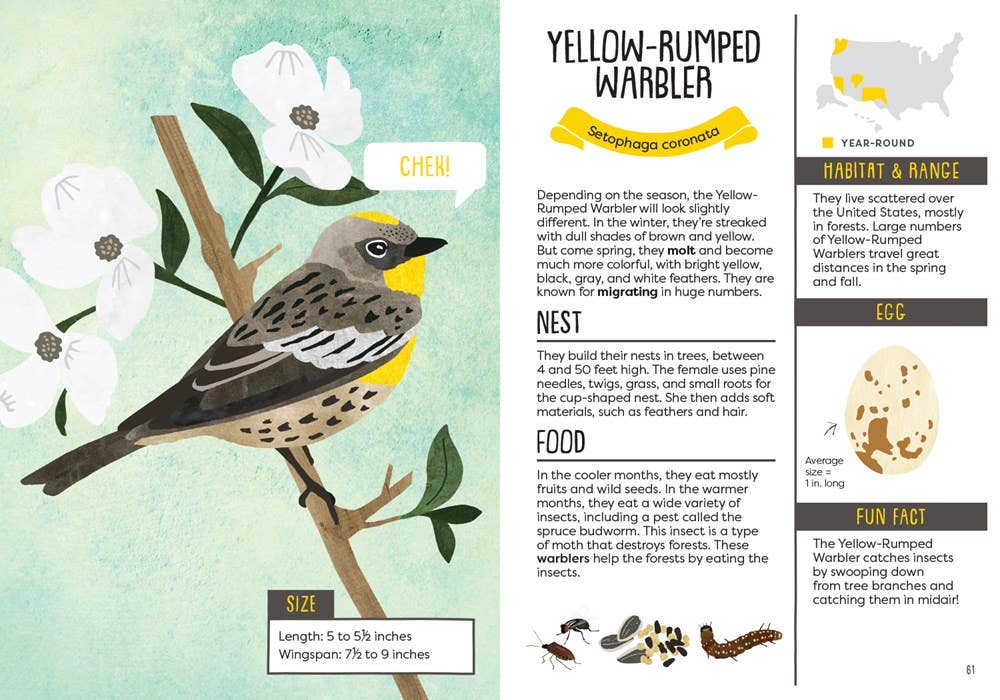 Kid’s Guide to Backyard Birds - Image 3