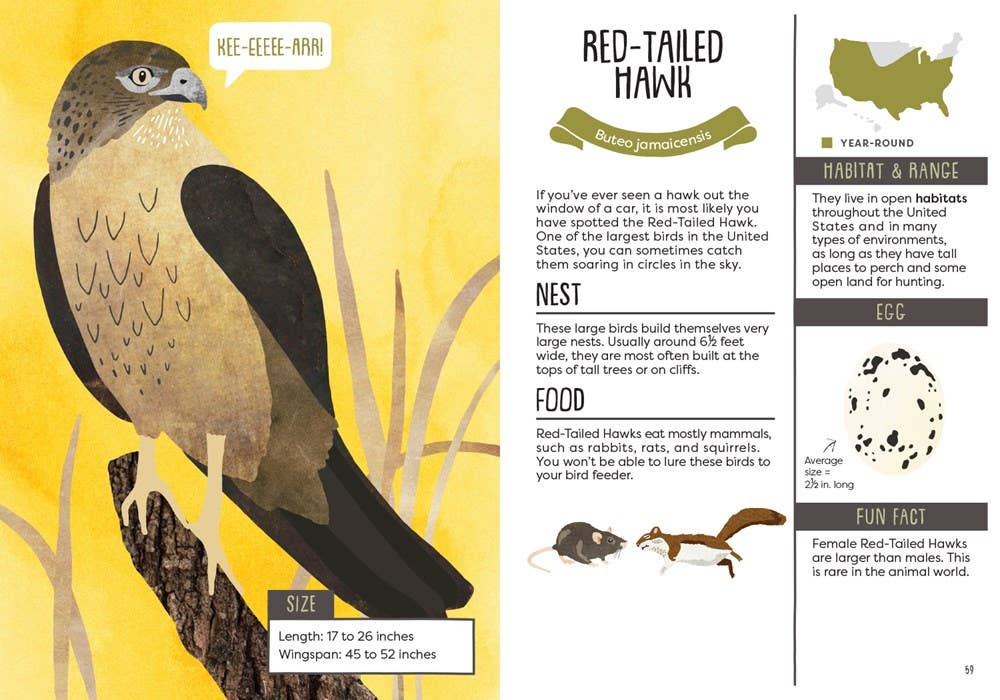 Kid’s Guide to Backyard Birds - Image 4