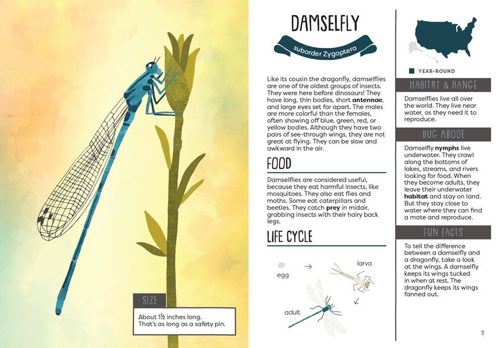 Kid’s Guide to Backyard Bugs - Image 2