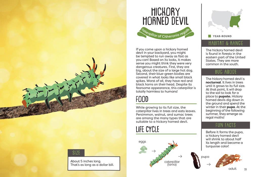 Kid’s Guide to Backyard Bugs - Image 3