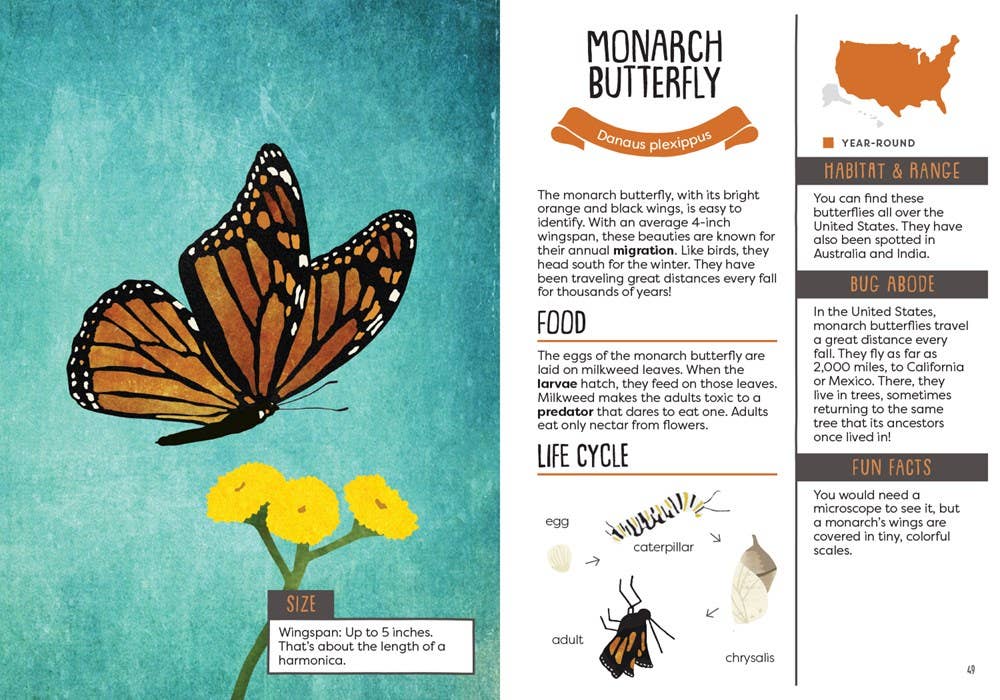 Kid’s Guide to Backyard Bugs - Image 4