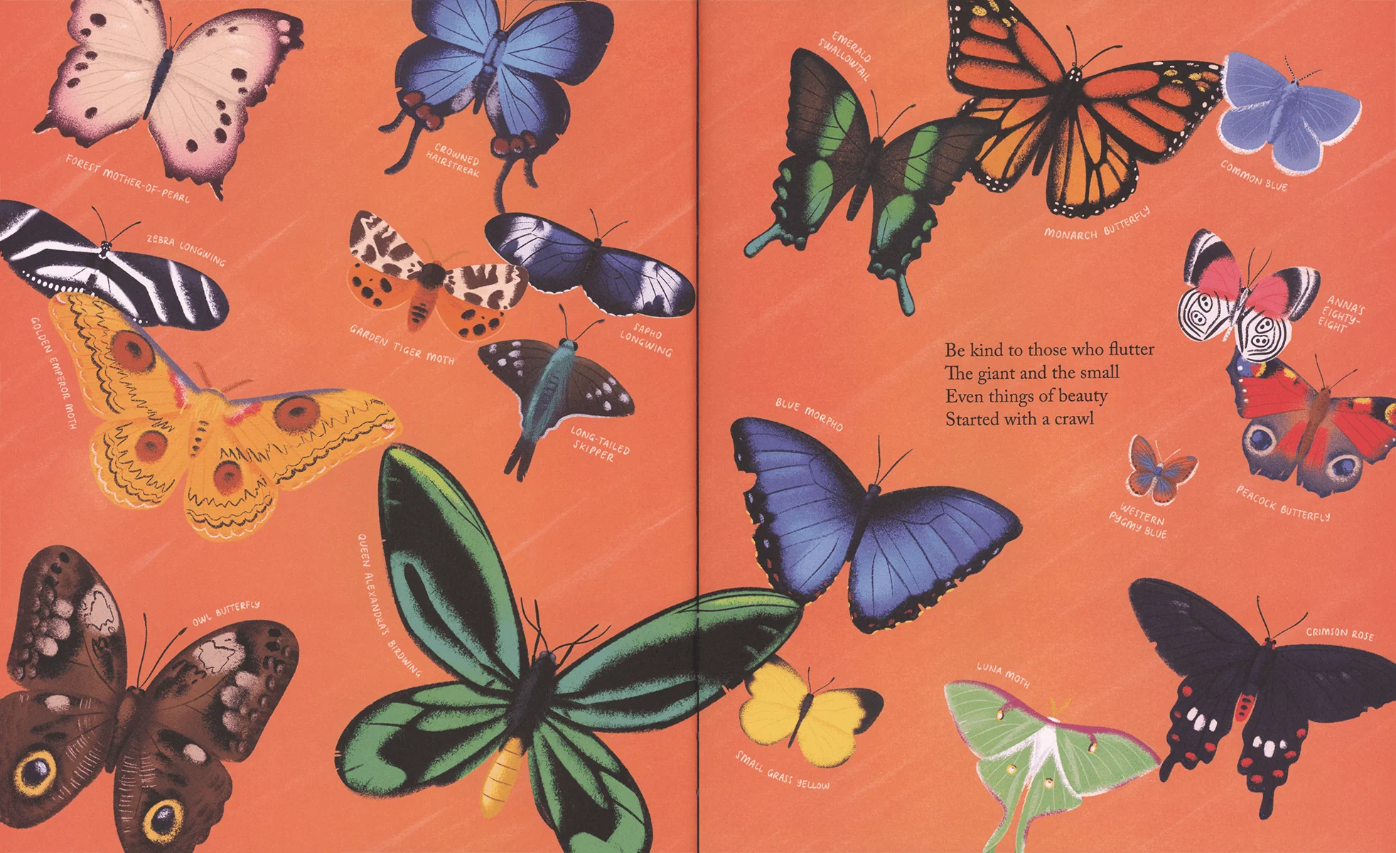 Kind: A Call to Care for Every Creature - Image 2