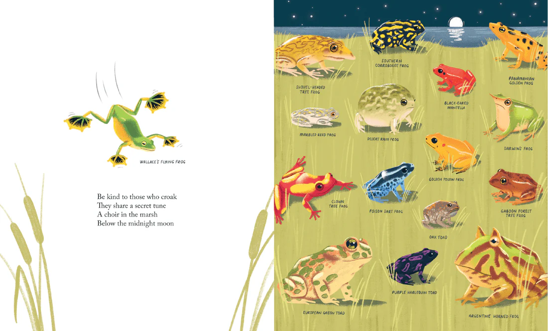 Kind: A Call to Care for Every Creature - Image 3