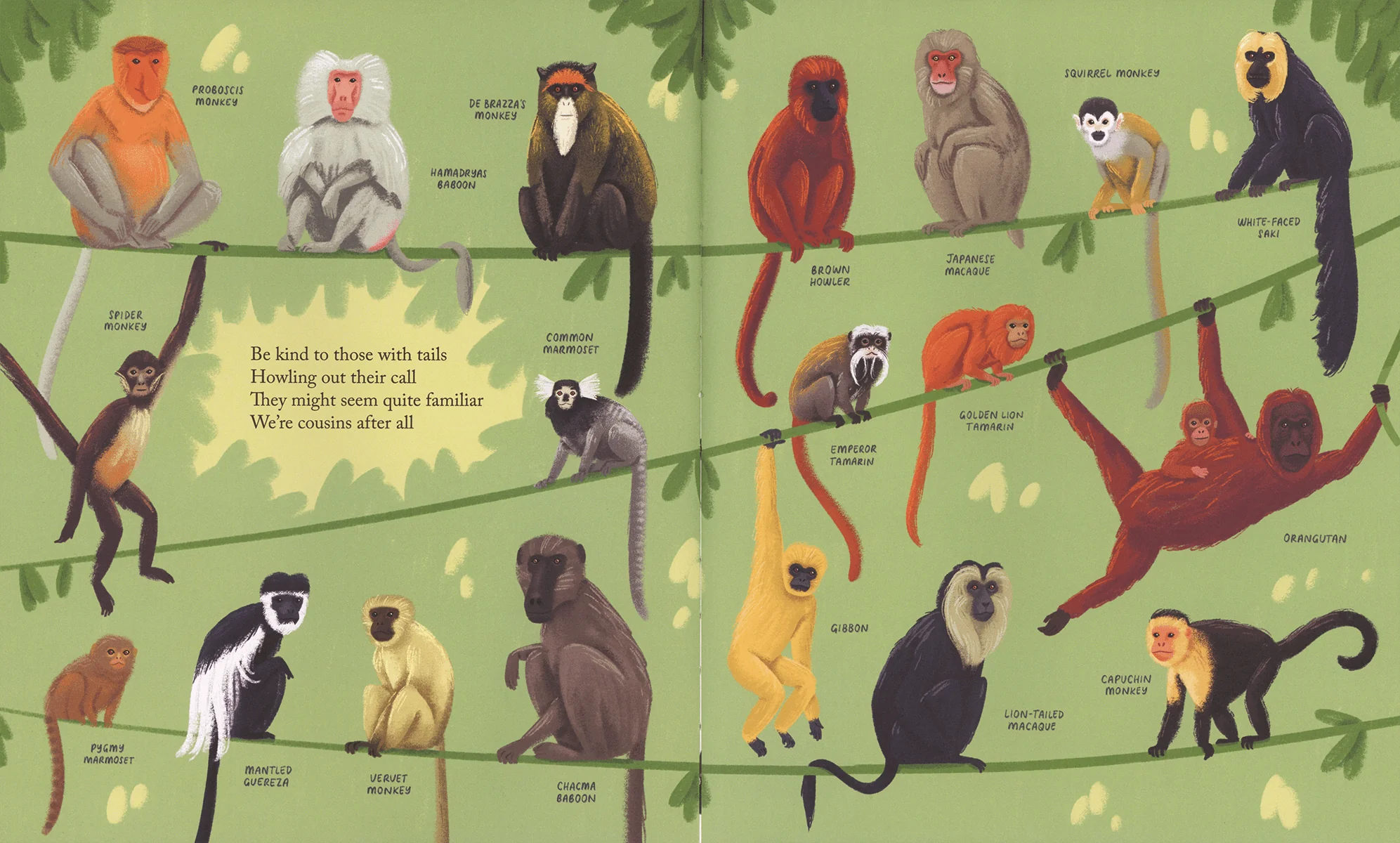 Kind: A Call to Care for Every Creature - Image 4