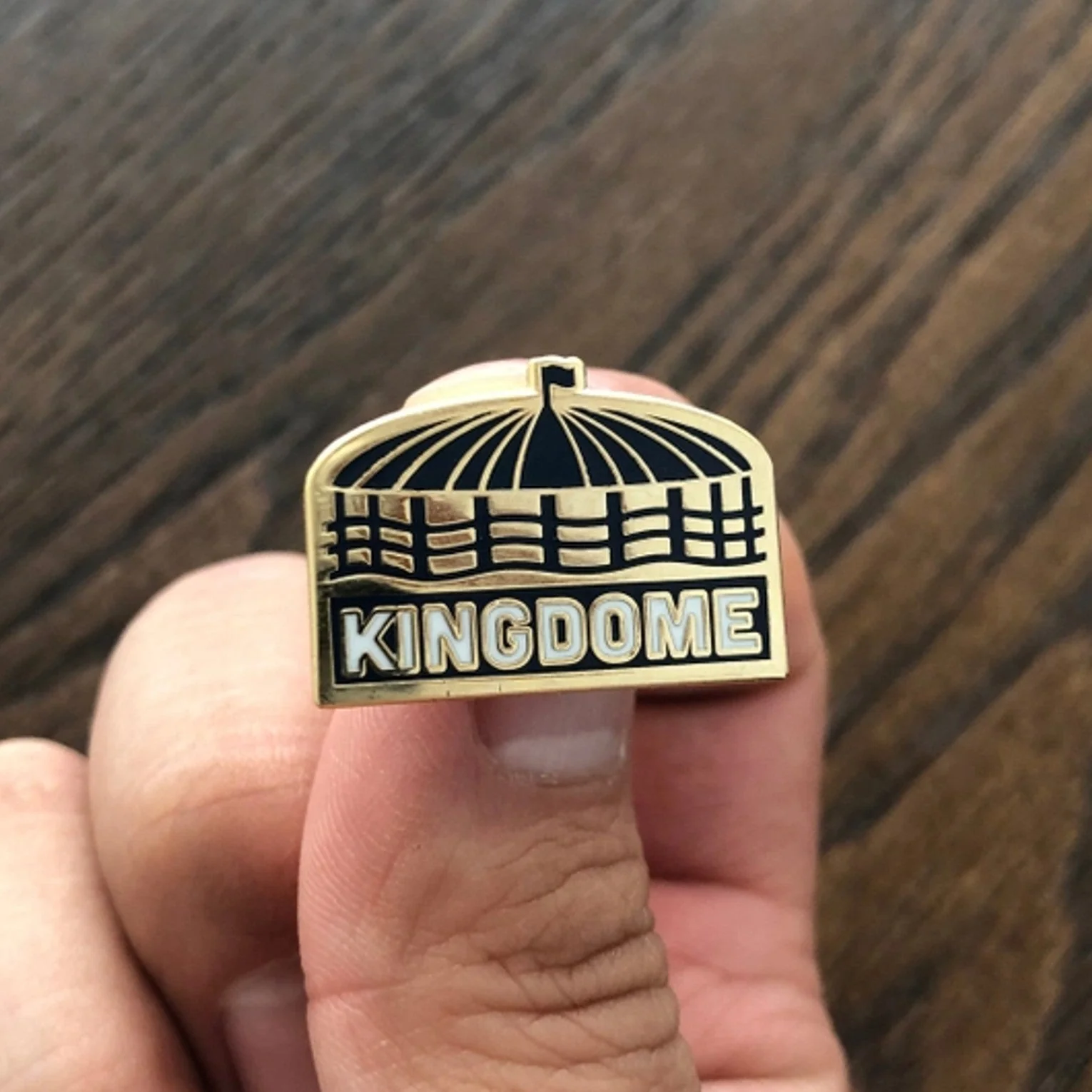 Kingdome Enamel Pin - Image 3