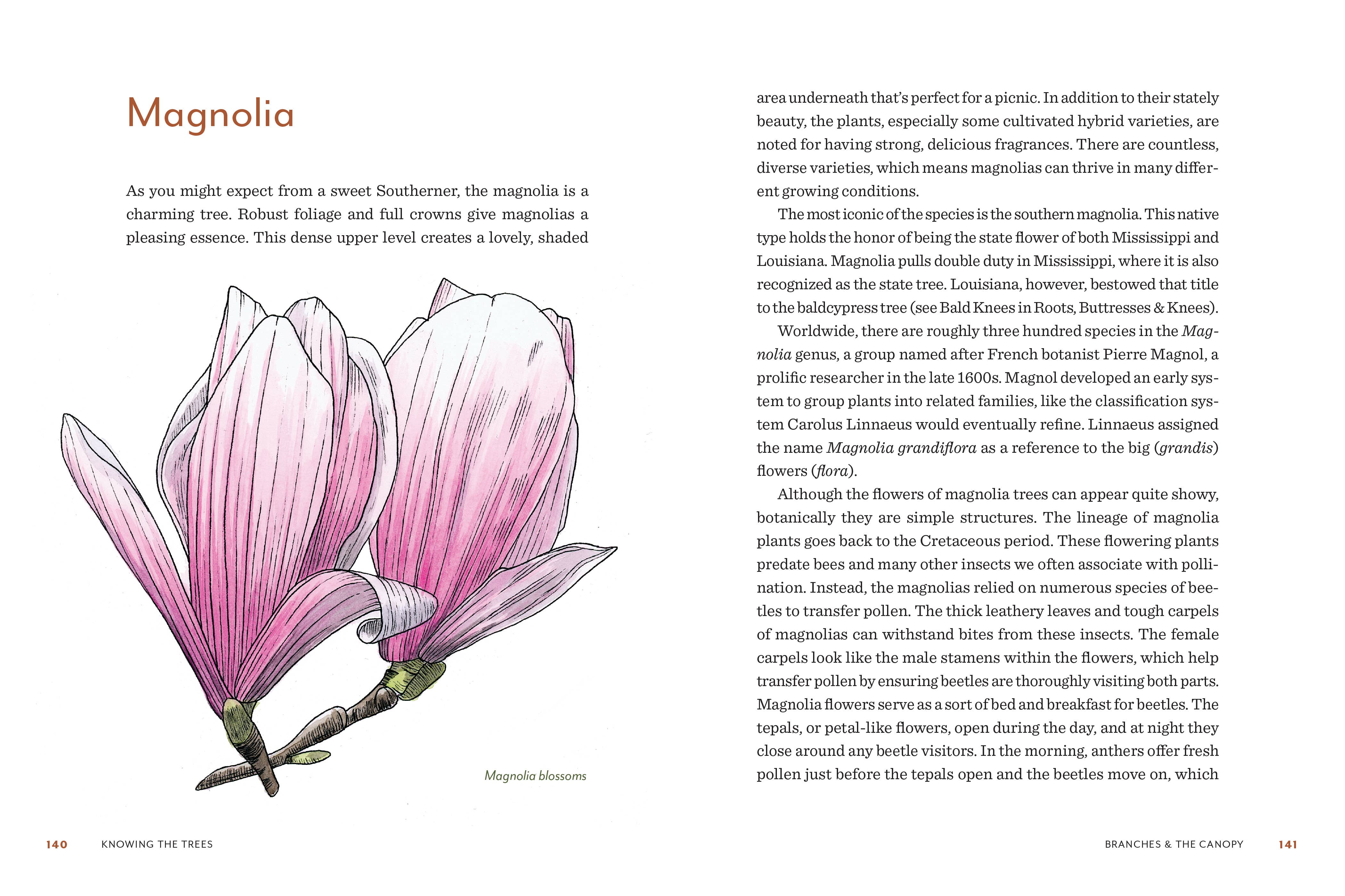 Knowing the Trees: Discover the Forest from Seed to Snag - Image 3