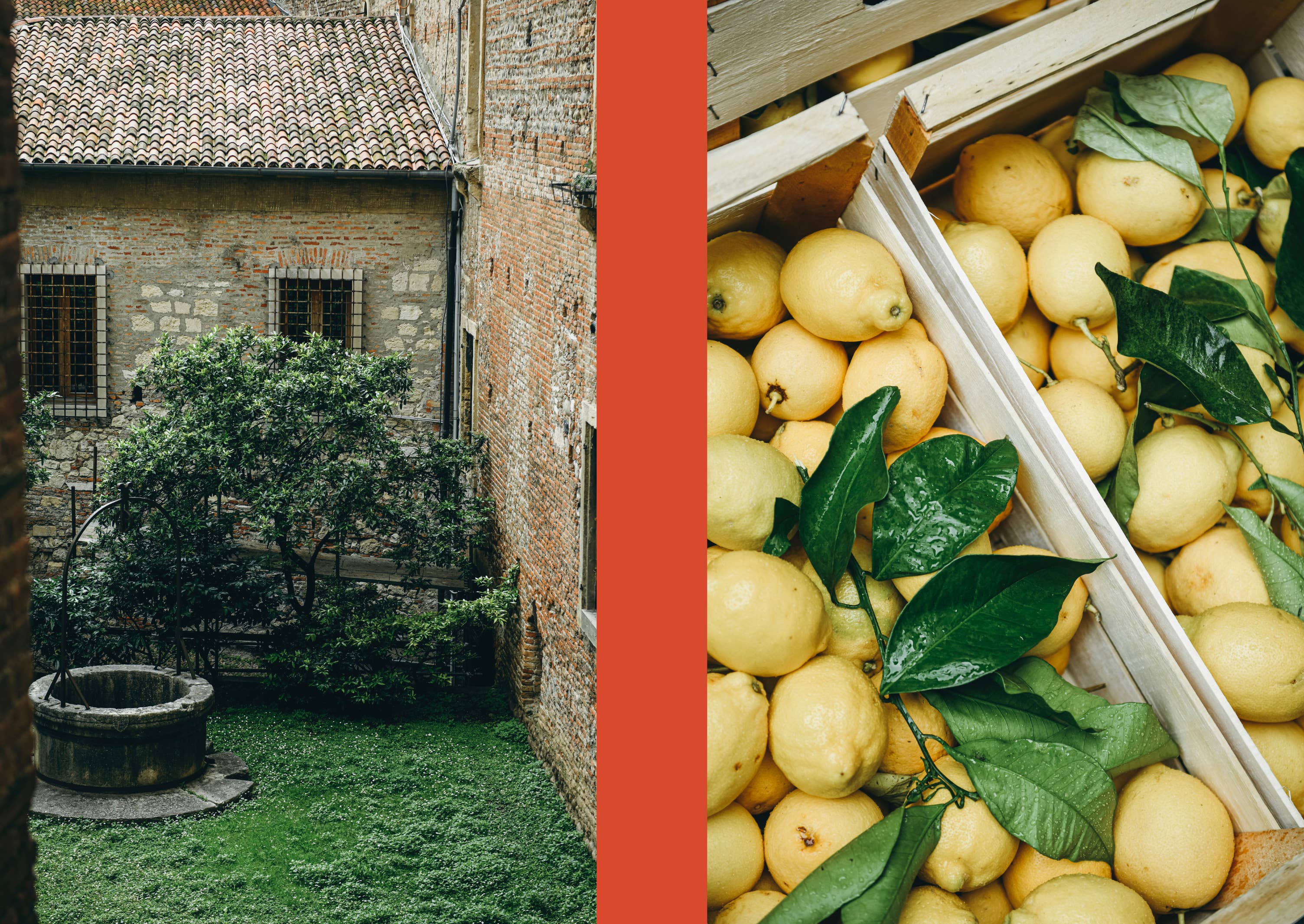 La Nostra Cucina Povera – Everyday Italian Eats - Image 3