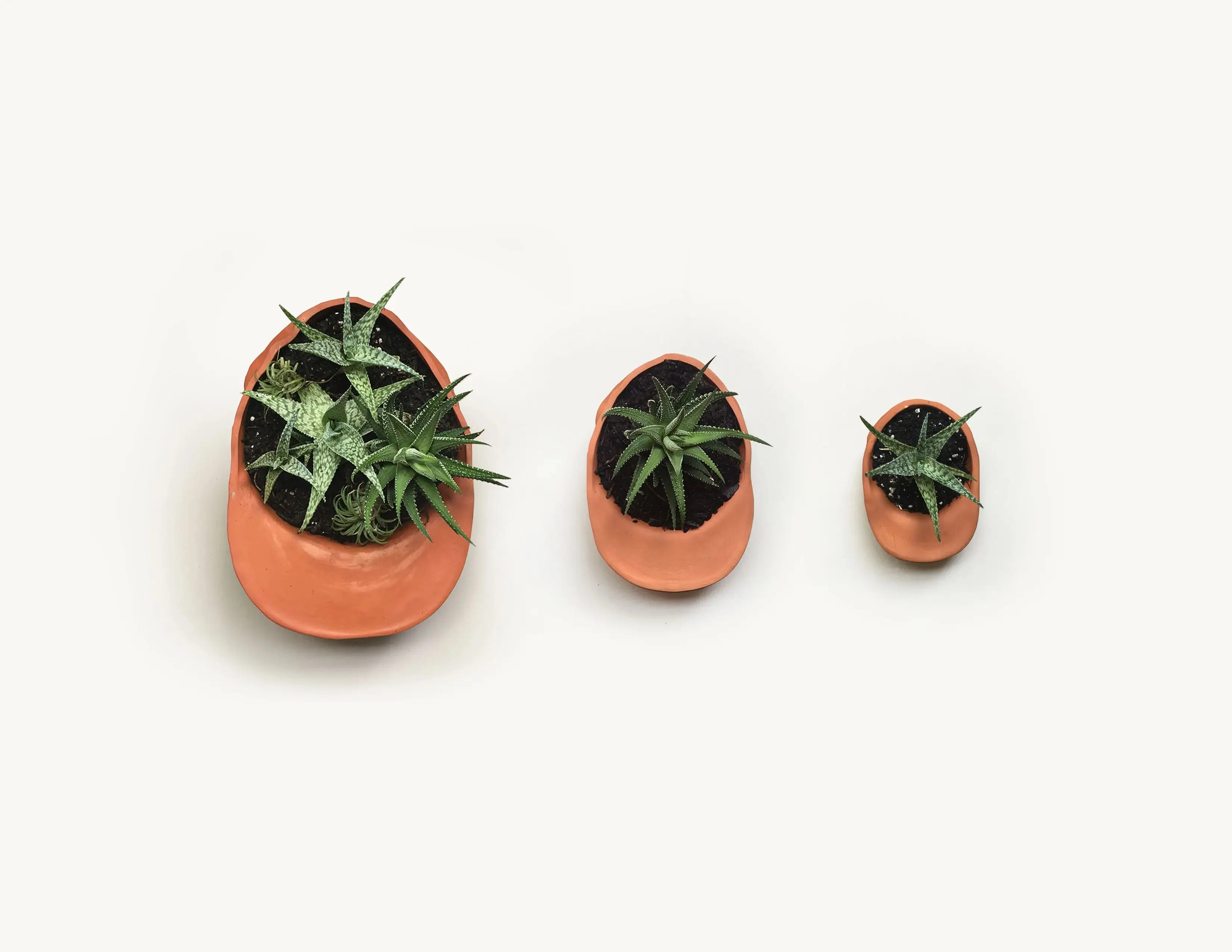 Terra Cotta Hat Planter Bowl - Image 4
