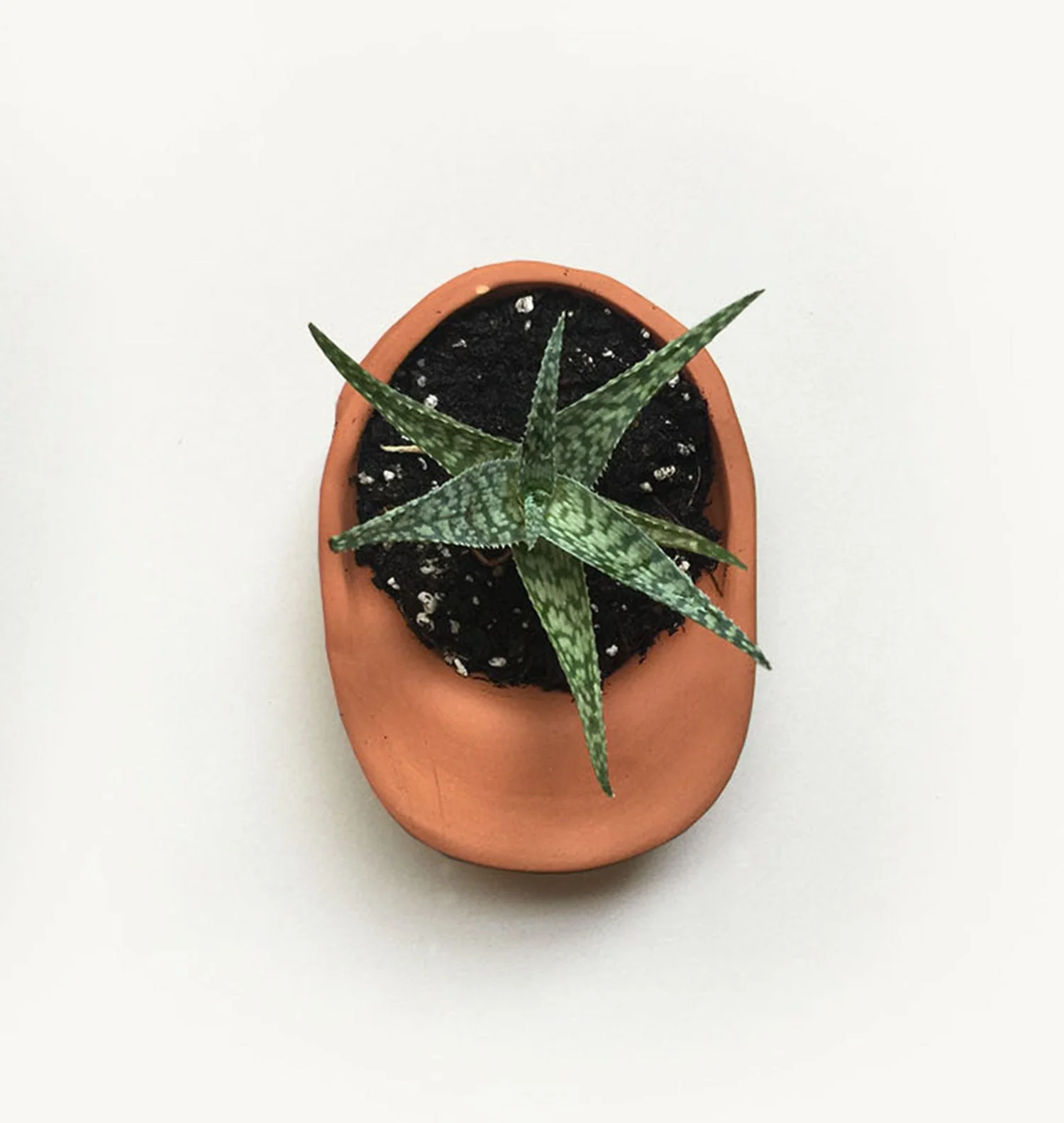 Terra Cotta Hat Planter Bowl - Image 5