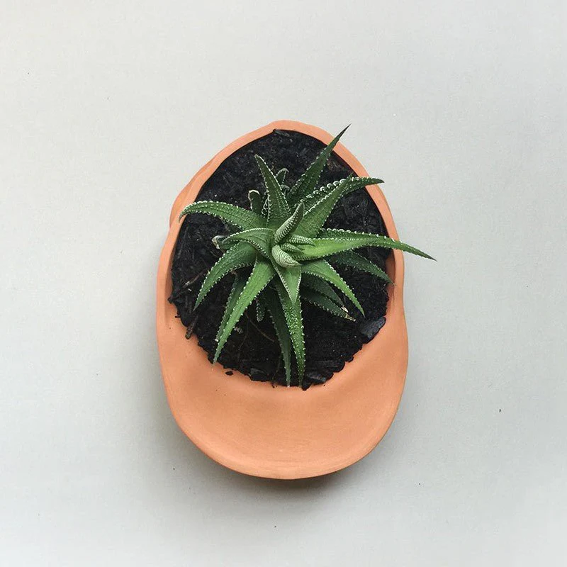 Terra Cotta Hat Planter Bowl - Image 6