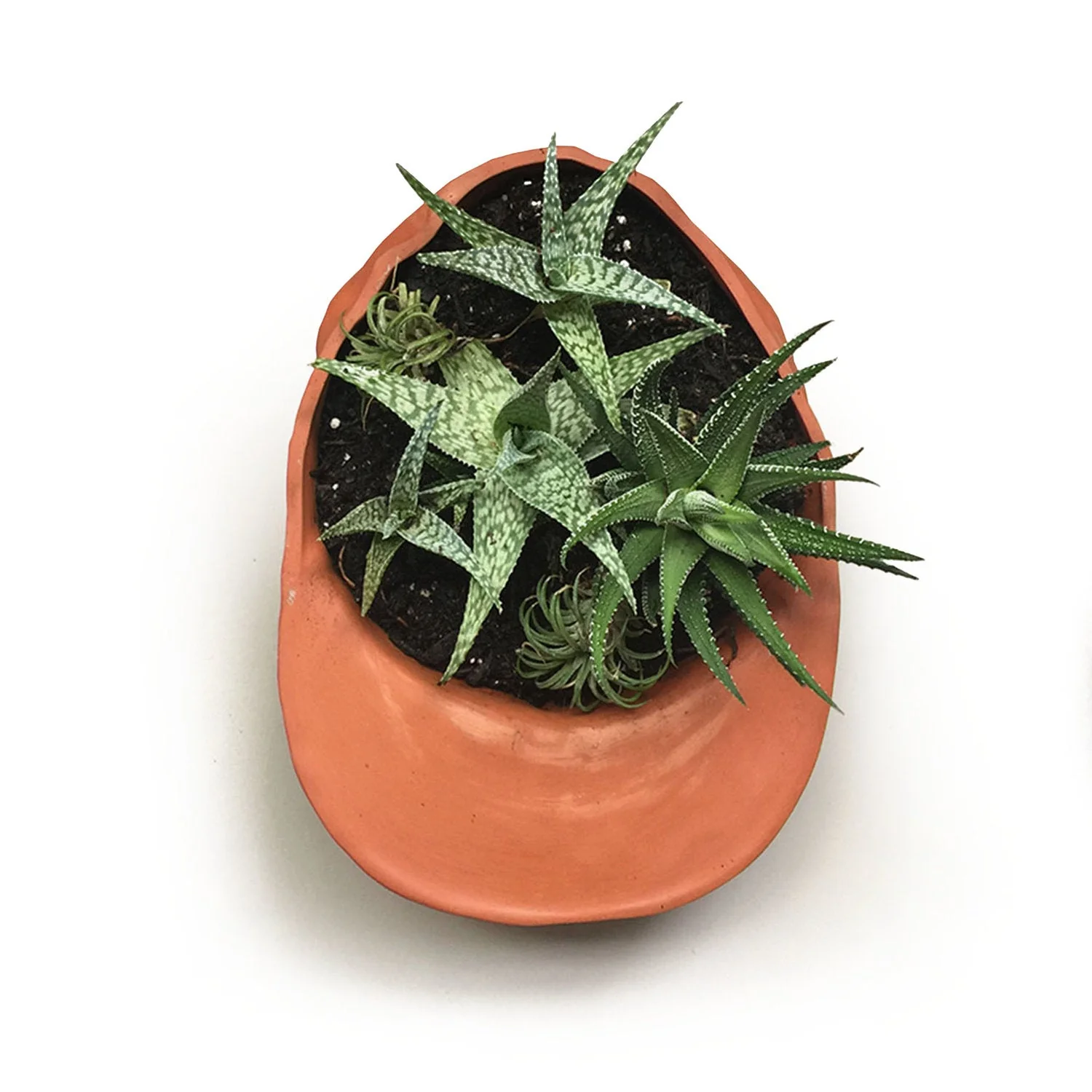 Terra Cotta Hat Planter Bowl - Image 7