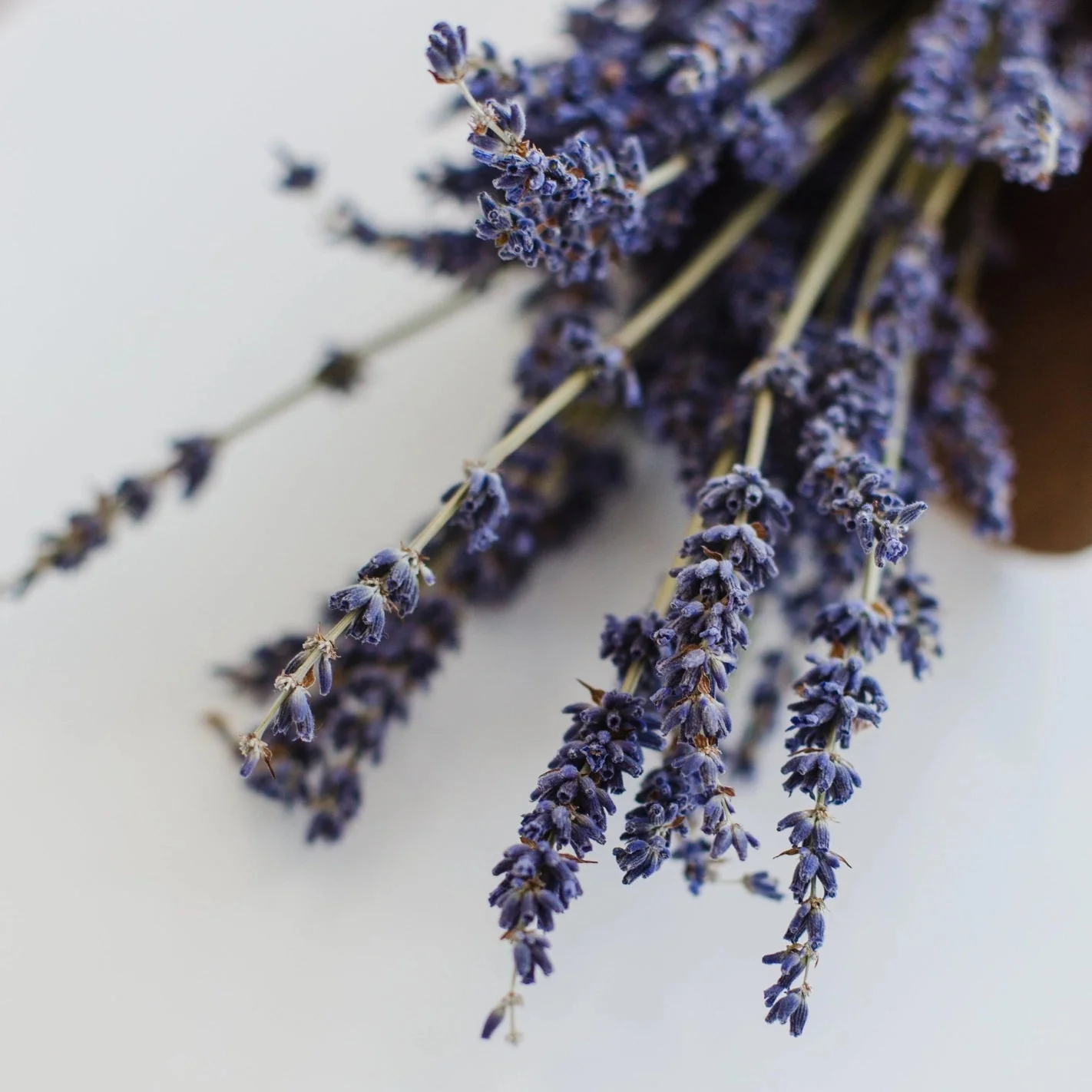 Lavender Earl Grey Mini Tea Tube - Image 4