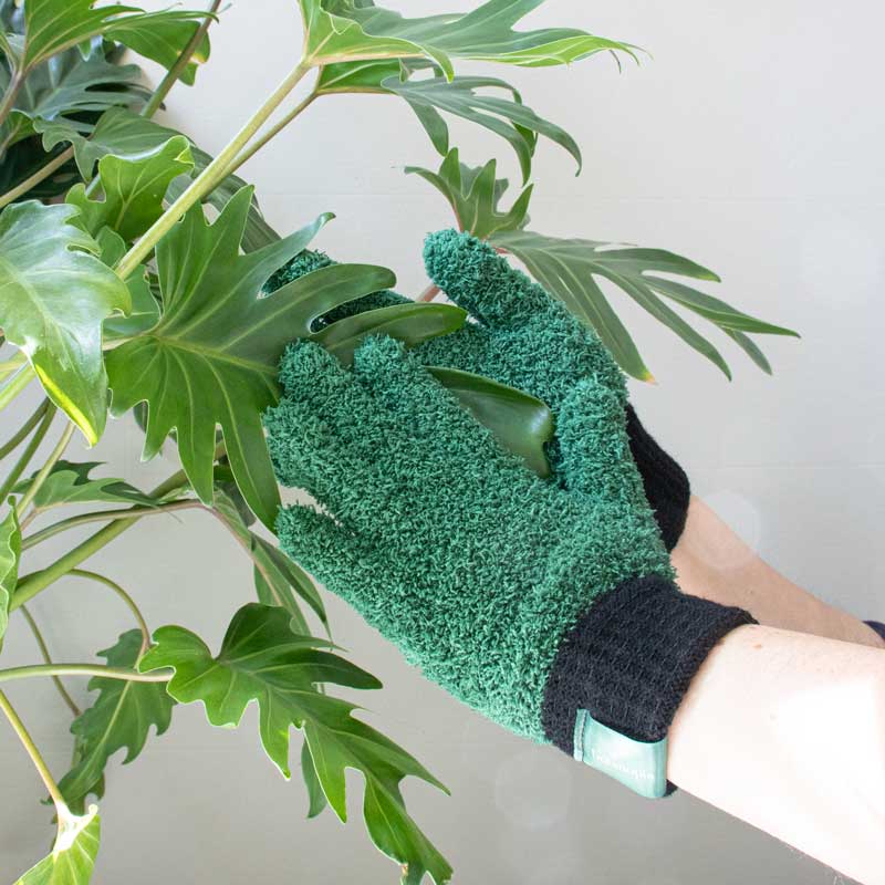 Leaf Love Plant Dusting Gloves - Image 2