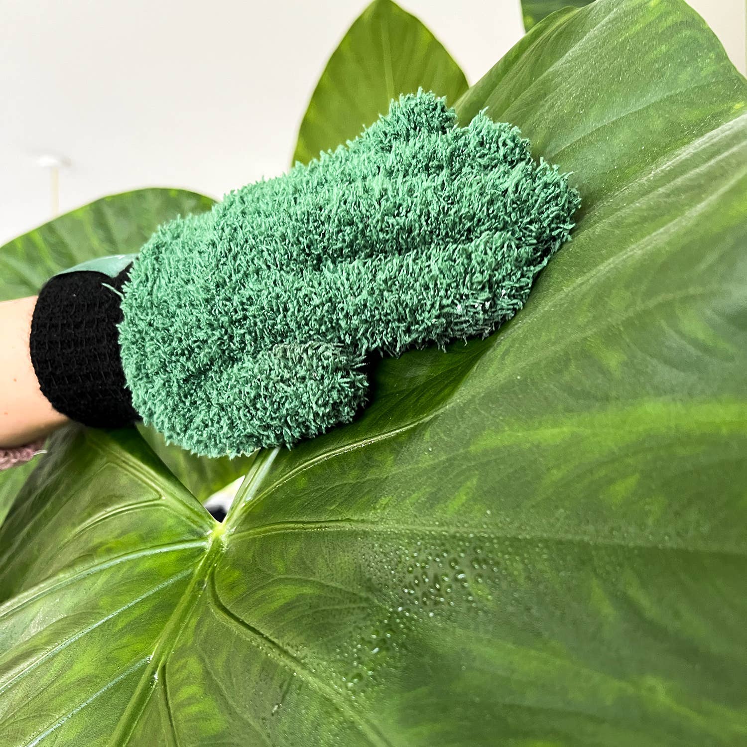 Leaf Love Plant Dusting Gloves - Image 5
