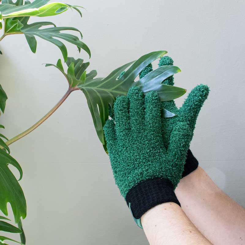 Leaf Love Plant Dusting Gloves - Image 6