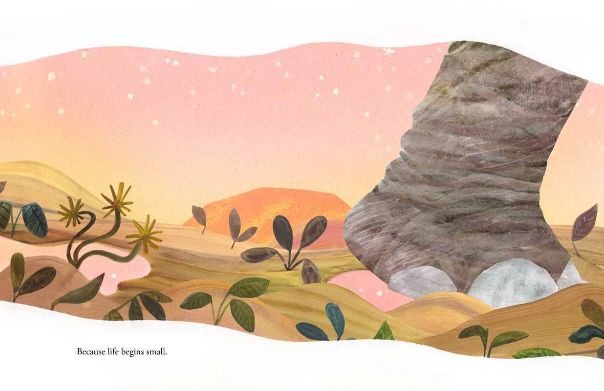 Life - Image 6