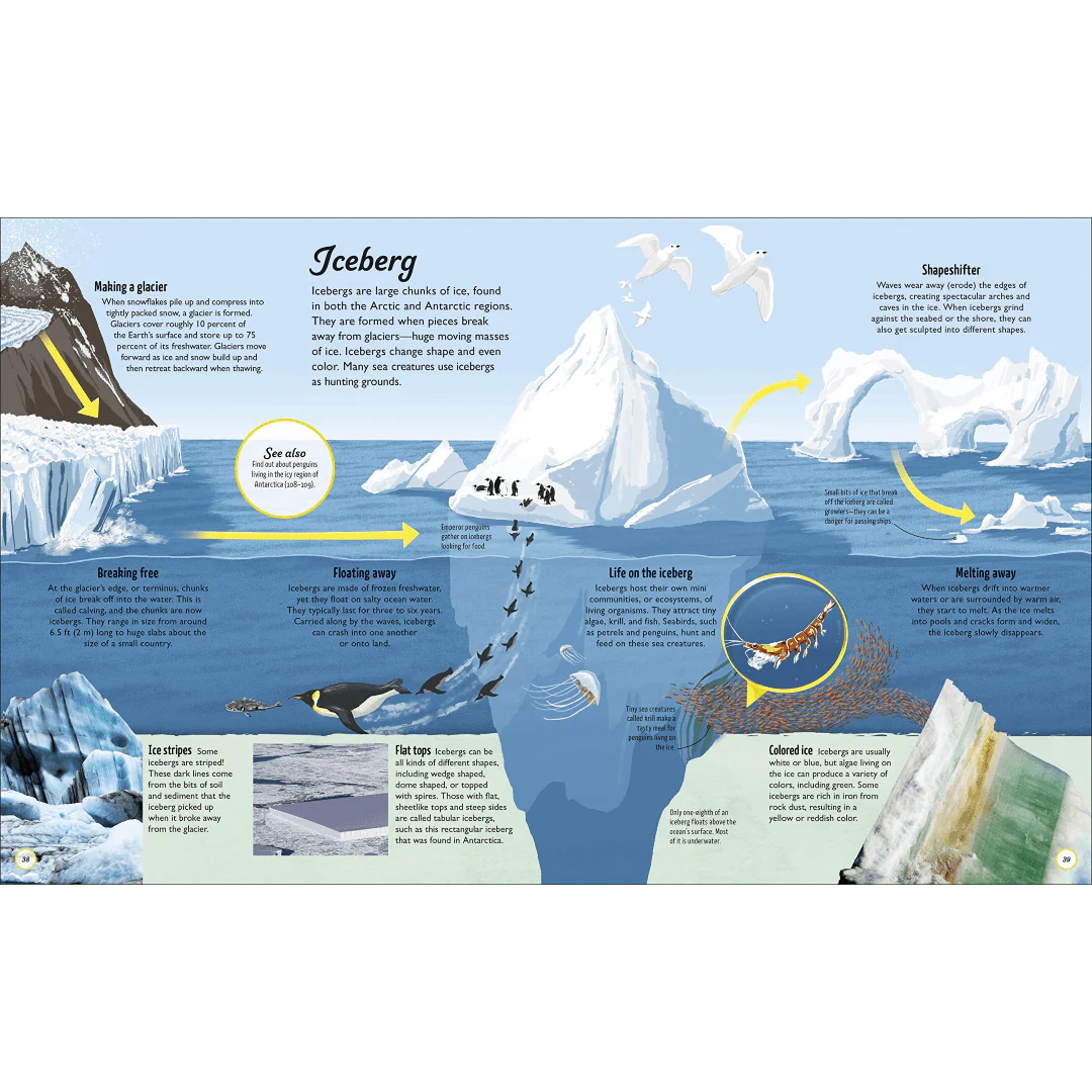 Life Cycles: Everything From Start to Finish - Image 2